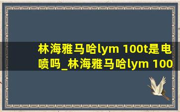 林海雅马哈lym 100t是电喷吗_林海雅马哈lym 100t-4